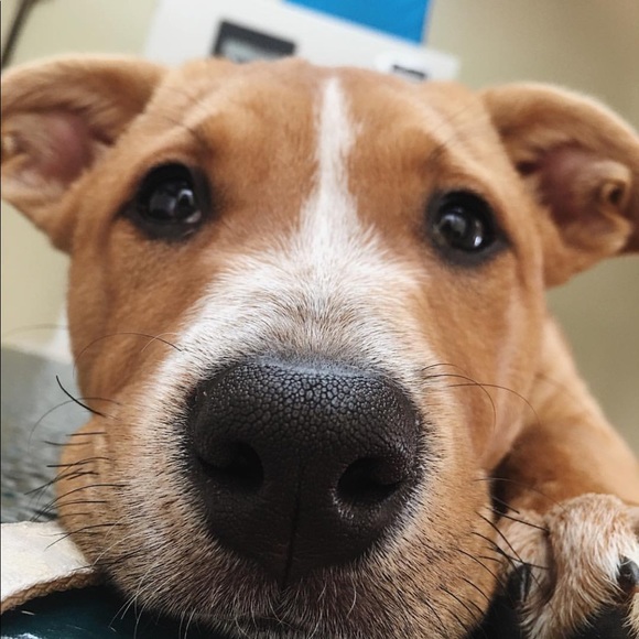 Welcome To My Family’s Closet - Picture 3 of 3